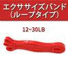 Absport RB-001 50150 Training Tube Exercise Band/15 view 2