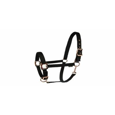 Lettia Rosegold Padded Leather Breakaway Halter in Black