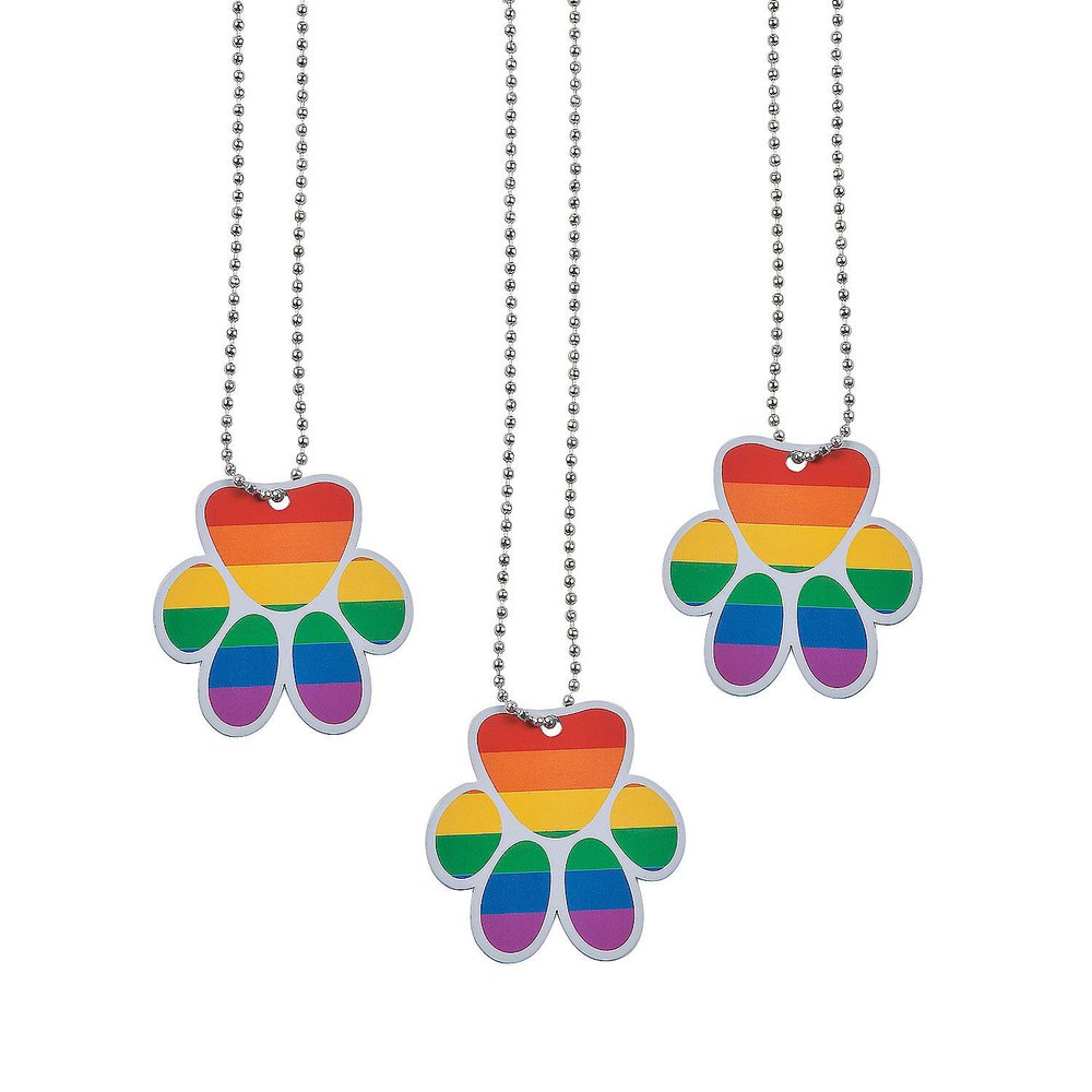 Fun Express Paw Shaped Rainbow Dog Tag Necklace - Set of 12 - Party Favors and Handouts