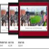 Mississippi State Baseball - 40.25x13.75-inch Standard Framed Picture by Blakeway Panoramas view 2