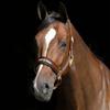 Brown Werano Halter by Back On Track USA view 2
