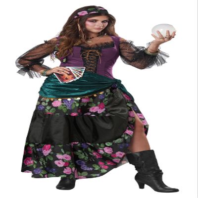 Calico, Mystical Fortunes, Womens Costume Medium