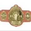 Undisputed Belts Bowling Championship Belt Trophy - Custom Text view 1