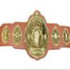 Undisputed Belts Bowling Championship Belt Trophy - Custom Text view 2