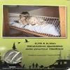 Bunk Net Plus Set - Anti Roll Net - 210 cm x 70~7' x 28" Polyester Line - with Hooks and Screws - 416838 view 2