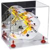 Better Display Cases Acrylic Lacrosse Helmet Display Case with Mirror, Red Risers and Clear Base (A002-RR) view 1