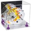 Better Display Cases Acrylic Lacrosse Helmet Display Case with Mirror, Purple Risers and Clear Base (A002-PR) view 1