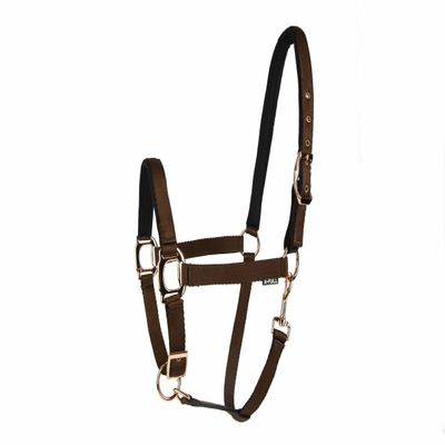 Lettia Rosegold Halter w/Breakaway Tab Dark Brown Cob