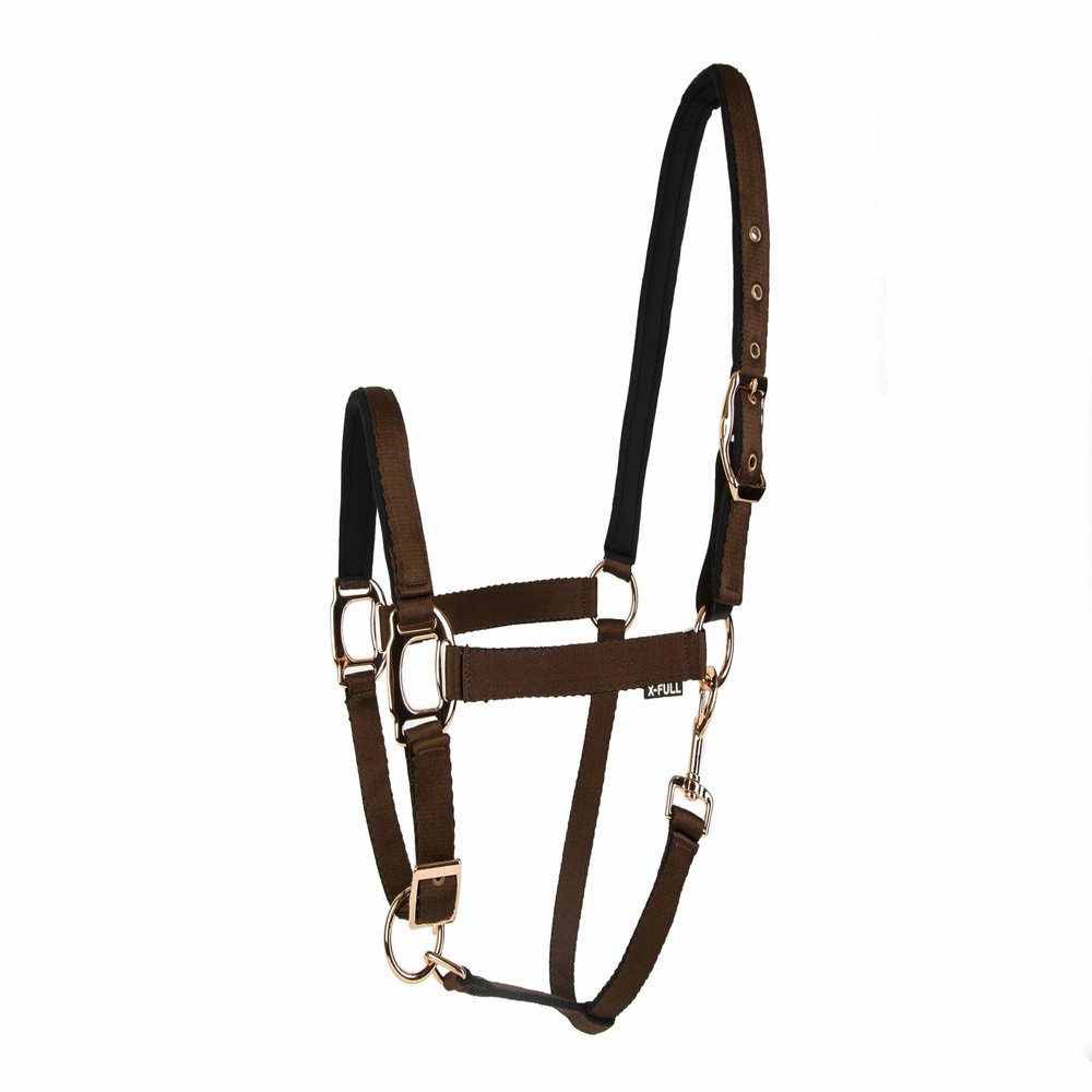 Lettia Rosegold Halter w/Breakaway Tab Dark Brown Cob
