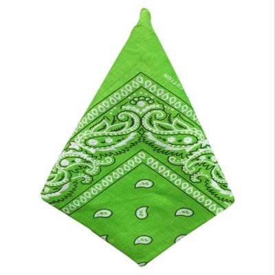 Bestgift Men's Paisley Print Head Wrap Scarf Wristband Bandana One Size Fruit Green