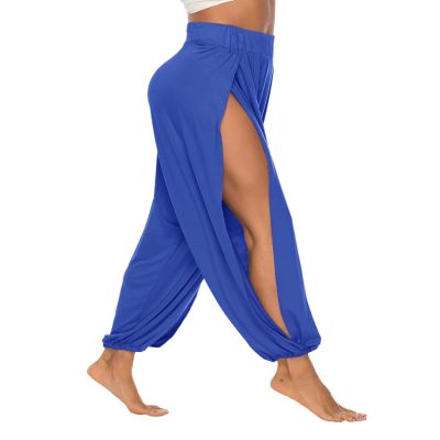 AvaCostume High Slit Harem Pants Women Hippie Harem Pants Trousers RoyalBlue XL