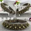 Newtensina Retro Bronze Studded Dog Collar Puppy Collar with Rivets for Small Dogs Medium Dogs - Grey - XL view 2