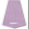 Eagles Wings Kansas State Ties Wildcats Mens College Neckties K-State (Gingham Microfiber) view 4
