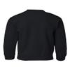 CornBorn Iowa Hawkeyes Youth Crewneck Sweatshirt Vertical Offset Hawkeyes - Black - Large view 2