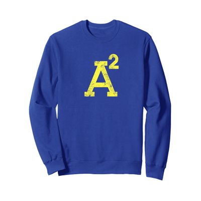 A2 Ann Arbor Shirt Michigan Hometown City Pride Gift Sweatshirt