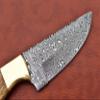 9.5" Long Full Tang Blade Skinning Knife, Rain Drop Pattern Straight Back Hand Forged Damascus Steel, Walnut Wood Scale with Brass Bolster, Cow Leather Sheath (Yellow) view 4