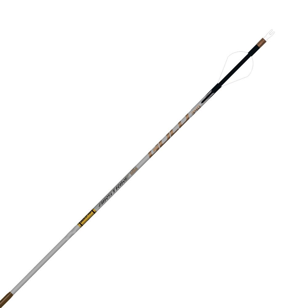 Gold Tip Airstrike Hunting Arrows 2" vanes 250 Spine 6 Pack