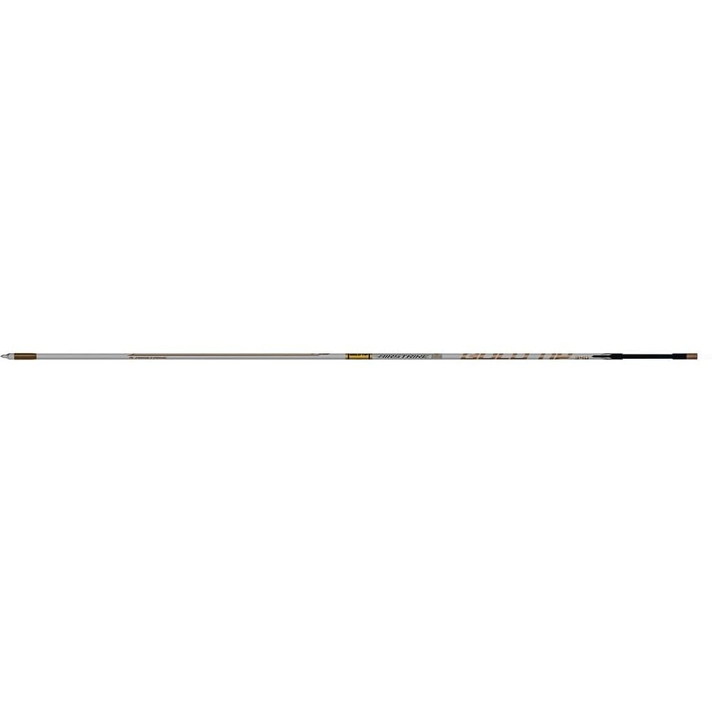 Gold Tip Airstrike Hunting Arrows 2" vanes 300 Spine 6 Pack