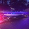Bright Night 16ft UV Boat Light Black LED Fluorescent line Glow Ultraviolet 12v Night Fishing bass view 2