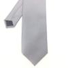 8CM Men's Tie Traditional Thick Stripes Design Neckties Solid Business Casual Ties (C5 grey) view 4