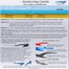 COOPER ANCHOR 1Kg/2.2lb - Nylon - PWC Anchor Jetski Anchor and Boat Anchor to 3.5m/12ft view 2