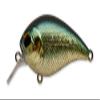 Pay Forward Lure One Eight SR #009 USA Sunfish view 1