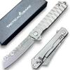 TACTICAL GEARZ Damascus Pocket Knife for EDC, Solid Tc4 Titanium Handle, Multi-Layered Damascus Steel VG10 Blade, Includes Sheath (Silver XS) view 1