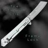 TACTICAL GEARZ Damascus Pocket Knife for EDC, Solid Tc4 Titanium Handle, Multi-Layered Damascus Steel VG10 Blade, Includes Sheath (Silver XS) view 3