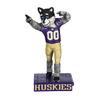 Team Sports America NCAA University of Washington Fun Colorful Mascot Statue 12 Inches Tall view 1