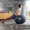 Core Balance Exercise Ball for Workouts, Anti-Burst and Slip Resistant, Swiss Yoga Ball for Pregnancy, Stability, Fitness and Physical Therapy, 4 Sizes, with Pump (25" / 65cm Black) view 4