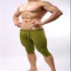 BRAVE PERSON Men's Sports Shorts Quick-Dry Swim Trunks, Fitness, Running, Cycling Pants 2221 (S/Waist 26''-30'', Green) view 3