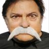 Grey/White Mustache Costume - Walrus Style Fake Mustache - Self Adhesive Mustache view 1