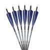 Fleetwood Arrows with Feathers (Blue, Spine 500) view 1