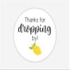 24-2" Lemon Birthday Party Favor Stickers, Thanks for Dropping by, Sweet Birthday Labels (#243-5) view 1