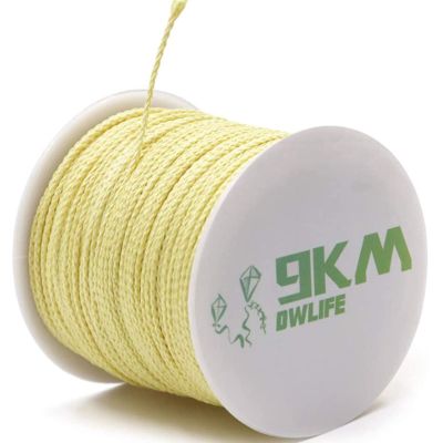 9KM DWLIFE Braided Kevlar Cord, 400lb 1.6mm 100Ft, High Tensile Strength, Abrasion, Flame Retardant, Kite String, Fishing Line, Model Rocket Shock, Hammock Tarp Ridgeline, Tactical Survival Paracord