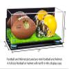 Better Display Cases Acrylic Mini - Miniature (not Full Size) Football, Helmet Display Case with Mirror Case, Light Blue Risers, Turf Base and WallMount (A019-BLR) view 2