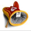 NFL Kansas City Chiefs NFL Kansas City ChiefsNFL #1 Oven Mitt, Red, Dimensions: 13.25" x 6.5" view 3