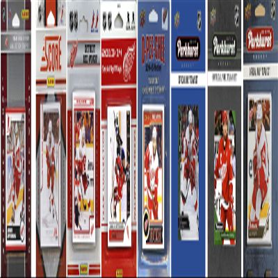 C&I Collectables NHL Detroit Red Wings Mens REDWINGS818TSN/A Brown Brown REDWINGS818TS, Brown, N/A