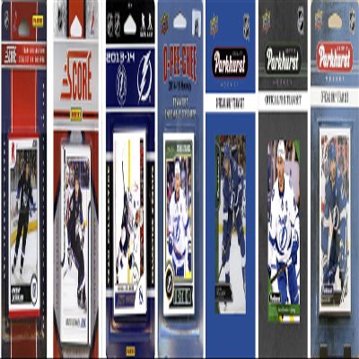 C&I Collectables NHL Tampa Bay Lightning Mens LIGHTNING718TSN/A Brown Brown LIGHTNING718TS, Brown, N/A