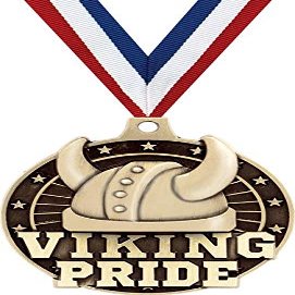 Viking Pride Medals, 2" Gold Viking Pride Mascot Medal Award with Free Custom Engraving 100 Pack