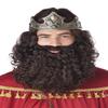 California Costumes Mens Biblical King Wig & Beard Brown view 1