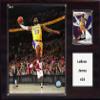 C&I Collectables NBA Los Angeles Lakers Mens 1215LBJAMESLANBA 12"x15" Lebron James Los Angeles Lakers Player Plaque, Brown, N/A view 1