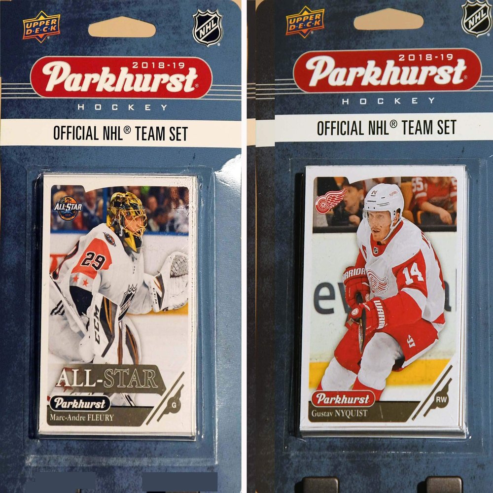 C&I Collectables NHL Detroit Red Wings Mens 18REDWINGSTSN/A Brown Brown 18REDWINGSTS, Brown, N/A