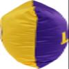 College Covers Everything Comfy LSU Tigers 16" Decorative Pillow Reversible 2 Unique Sides view 3