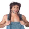 California Costumes Adult Hillbilly Hearthrob Wig Brown view 1