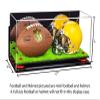 Better Display Cases Acrylic Mini - Miniature (not Full Size) Football, Helmet Display Case with Mirror Case, Red Risers, Turf Base and WallMount (A019-RR) view 2