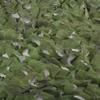 LIYFF-Tarps Camouflage Netting UV Resistant Shade Outdoor Woodland Jungle Camo Net for Camping Military Hunting Shooting Blind Watching Hide Party Decorations view 4