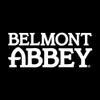 AH01 - Belmont Abbey College Crusaders Basic Block HOODIE - Small - Black view 3