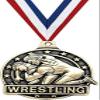 Wrestling Medals, 2" Gold Kids Wrestling Medal Award with Free Custom Engraving 100 Pack view 1