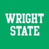 AL01 - Wright State Raiders Basic Block Long Sleeve - X-Large - Green view 3